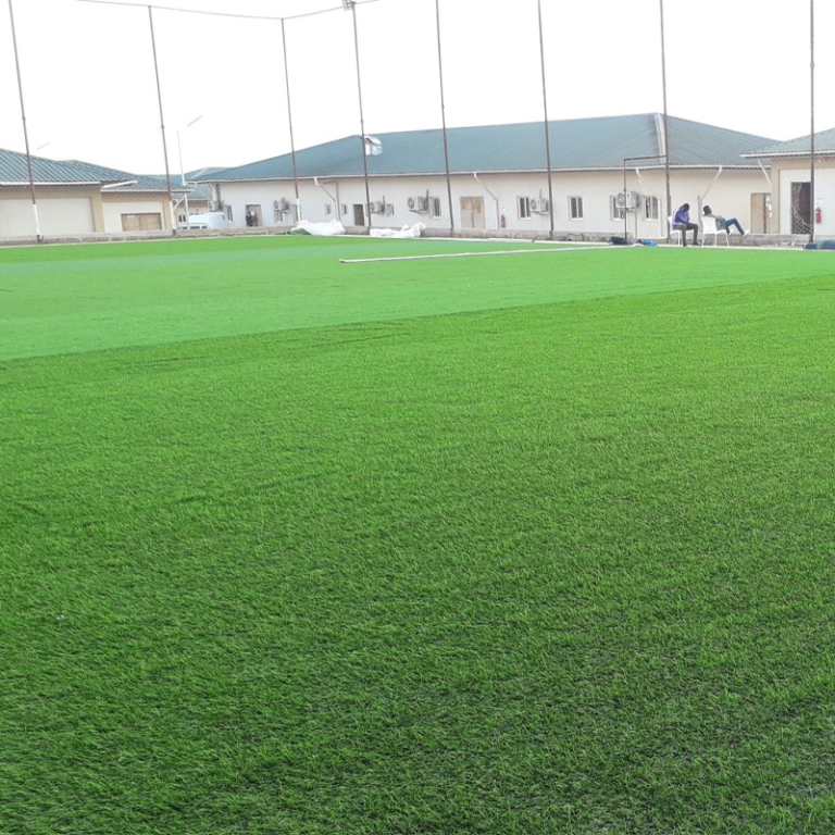 Turf 1