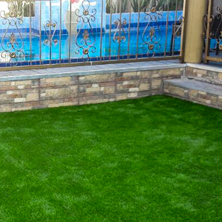 Turf 6